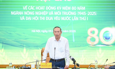 Xuất khẩu nông, lâm, thủy sản bứt phá, tạo đà hoàn thành mục tiêu năm 2025