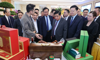 Liên kết hiệu quả giữa hợp tác xã và doanh nghiệp