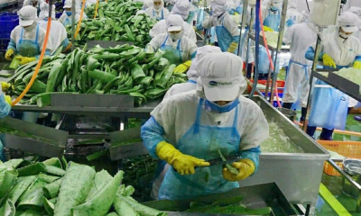 VietFarm: Đầu tư công nghệ nâng cao giá trị nông sản Việt