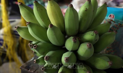 Chuối, bưởi, lá dong đắt hàng dịp cận Tết