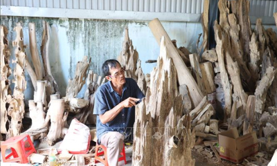 Hương trầm lan tỏa ngày Xuân