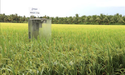 Tiến trình cho nông nghiệp xanh