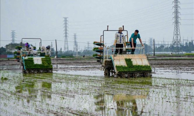 Nông dân tranh thủ thời tiết thuận lợi ra đồng sản xuất đầu Xuân