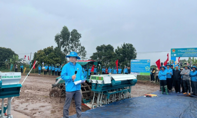 Lúa phát thải thấp: Đồng bằng sông Hồng vào guồng chuyển đổi xanh