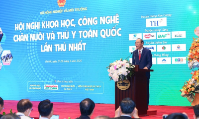 Khoa học công nghệ từ khóa mới với chăn nuôi và thú y