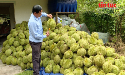 Nông nghiệp Việt Nam tăng trưởng ổn định, tiếp tục chuyển dịch theo chuỗi giá trị