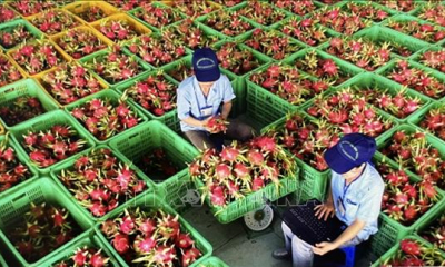 Kiên định mục tiêu, biến thách thức thành cơ hội