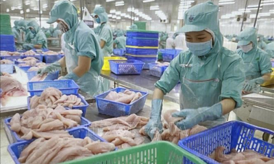 Tận dụng thời cơ, vượt qua thách thức tiếp tục phát triển nhanh và bền vững đất nước