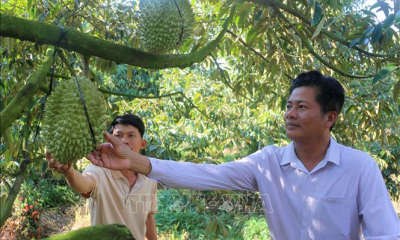 Khát vọng làm giàu từ tư duy nông nghiệp hiện đại