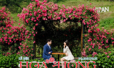 Hàng vạn du khách “đổ về” Fansipan, nô nức check in Lễ hội Hoa hồng 2026