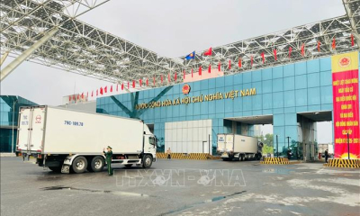 Thu ngân sách từ xuất nhập khẩu tăng 16,5%