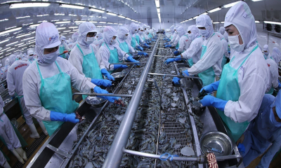 Năm 2026 nhiều dư địa tăng trưởng xuất khẩu thủy sản