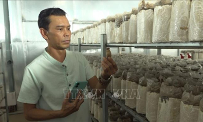Phát triển nông nghiệp hiện đại trong thời đại số