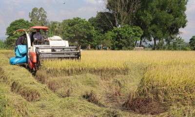 Đột phá phát triển kinh tế tập thể