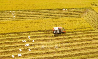 Từ phòng thí nghiệm đến cuộc dịch chuyển tư duy trên đồng ruộng