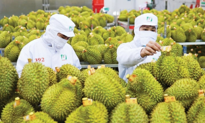 Hệ thống truy xuất nguồn gốc nâng tầm vị thế nông sản Việt