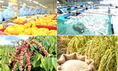 Xuất khẩu nông, lâm, thủy sản tăng hơn 10% so với cùng kỳ