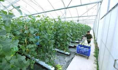 Địa phương còn lúng túng trong triển khai phát triển khoa học công nghệ