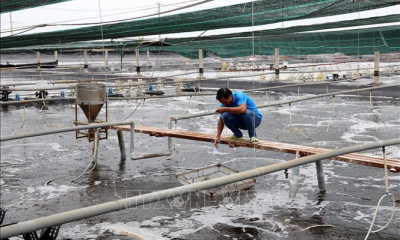 Canh tác biển, động lực mới cho kinh tế biển Việt Nam