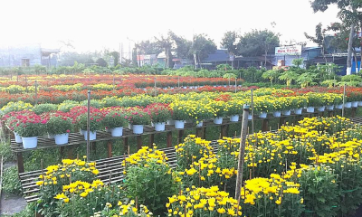 Khơi thông tín dụng tam nông hướng đến nông nghiệp bền vững
