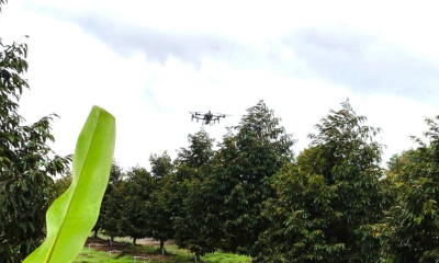 Thử nghiệm và xây dựng chiến lược cho thiết bị bay không người lái (UAV)
