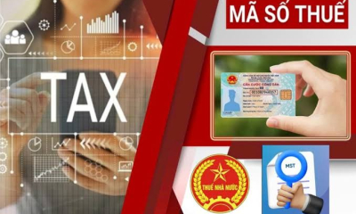 Xử lý doanh nghiệp ngừng hoạt động: Kinh nghiệm quốc tế và bài toán cải cách quản lý thuế ở Việt Nam
