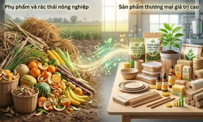 Nhịp bứt phá của nông nghiệp tuần hoàn