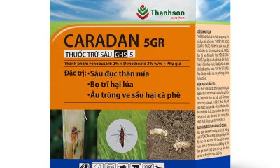 Phát hiện thuốc trừ sâu CARADAN 5GR của Công ty Thanh Sơn Hóa Nông giả về giá trị sử dụng, công dụng