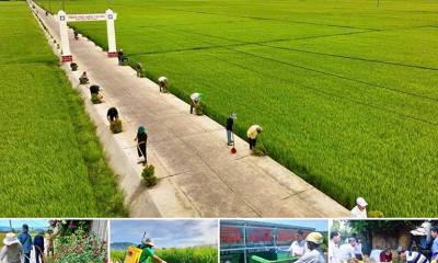 Sửa quy định tỉnh hoàn thành xây dựng nông thôn mới