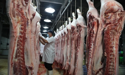 Lo ngại thịt lợn giết mổ nhỏ lẻ từ các tỉnh 'tuồn' vào TP Hồ Chí Minh dịp Tết
