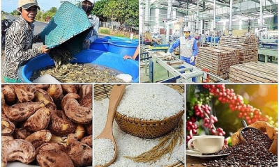 Doanh nghiệp xuất khẩu nông sản sẽ chịu thiệt hại vì thuế đối ứng của Mỹ
