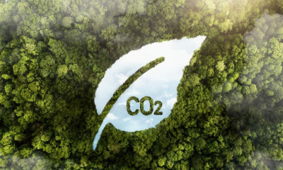 Tín chỉ carbon: Đã đến lúc doanh nghiệp nhỏ vào cuộc?