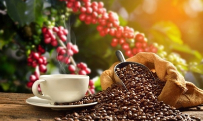 Cơ hội và thách thức với các doanh nghiệp