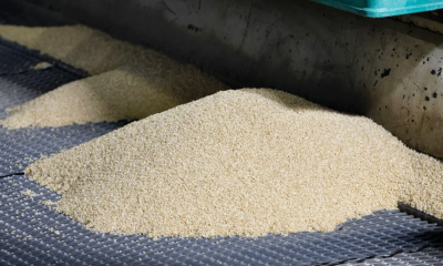 Khủng hoảng gạo tại Nhật Bản: Chính phủ xả kho dự trữ chiến lược để hạ nhiệt giá cả