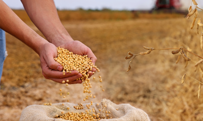 Trung Quốc đáp trả thuế quan, đòn mạnh vào nông sản Mỹ, tạo lợi thế cho Brazil