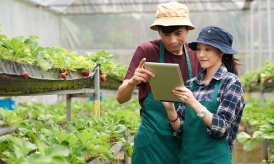 SMEs: Động lực mới cho nông nghiệp thông minh