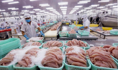Xuất khẩu cá tra tăng 23% so với cùng kỳ năm trước