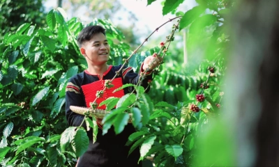 Nông nghiệp tư nhân – Từ kẻ theo sau thành người tiên phong chuyển đổi số