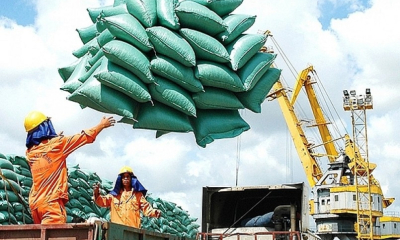 Nông sản cần một tấm hộ chiếu uy tín
