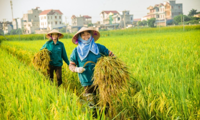 Giảm lệ thuộc hóa chất, bước chuyển tất yếu của nền nông nghiệp hiện đại