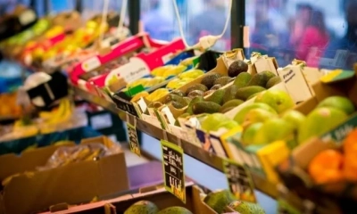 EU - Thị trường khó tính nhưng đáng để dấn thân