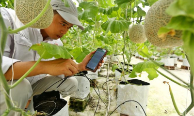 Chuyển đổi số có đang đè nặng doanh nghiệp nhỏ?