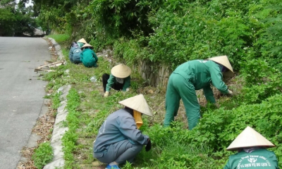 Công ty Cổ phần Công trình công cộng và Dịch vụ du lịch Hải Phòng: Đồng hành cùng thành phố vì mục tiêu xây dựng đô thị xanh, sạch, đẹp, hiện đại