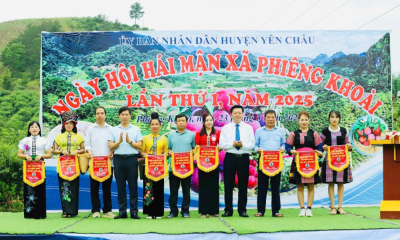 Sơn La: Sôi động ngày hội hái mận ở vùng cao Phiêng Khoài