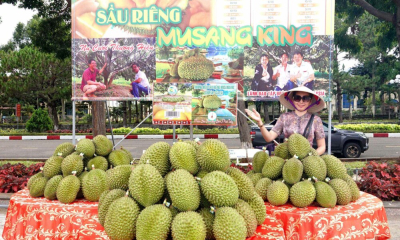 Gia Lai: Thương mại về bản, nông sản ra phố