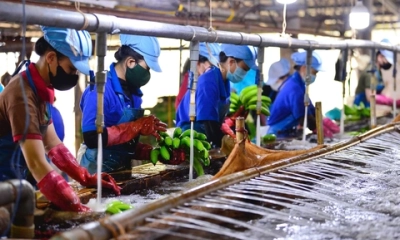 Hà Nội sẽ giảm 30% thủ tục hành chính để hỗ trợ doanh nghiệp