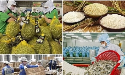 Nông lâm thủy sản và sầu riêng sẽ được ưu tiên thông quan