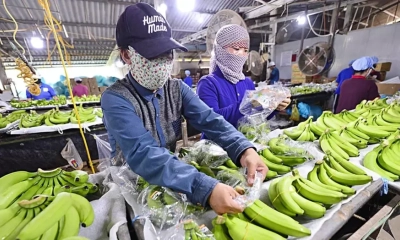 Xuất khẩu nông sản tăng trưởng mạnh trong 4 tháng đầu năm 2025