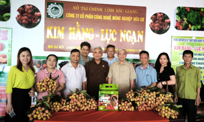 Giải bài toán tiêu thụ vải thiều: Doanh nghiệp và Hiệp hội Varisme cùng vào cuộc