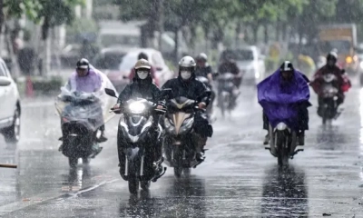Thời tiết nông vụ ngày 10/6: Hà Nội mưa dông